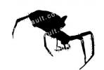 Spider Silhouette, logo, shape, OESV01P02_03.3302M
