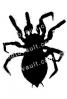 Spider Silhouette, logo, shape, OESV02P04_12.3303M