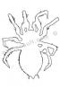 Spider Outline, line drawing, shape, OESV02P04_12.3303O