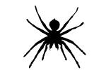 Goliath bird-eating spider, (Theraphosa blondi) Silhouette, Araneae, Mygalomorphae, Theraphosidae, logo, shape