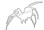 Wolf Spider line drawing, Lycosidae, Outline, shape, OESV02P13_17O