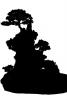 Kingsville Boxwood, (Buxus microphylia), silhouette, logo, shape, OFBV01P02._15M