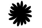 Daisy Silhouette, logo, shape, OFFV01P02_05M