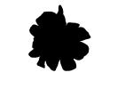 silhouette, logo, shape, OFFV01P04_15M