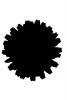 Desert Flower, silhouette, logo, shape, OFFV03P12_04M