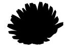 silhouette, logo, shape, OFFV06P03_12M
