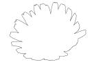 Flower outline, line drawing, shape, OFFV06P03_12O
