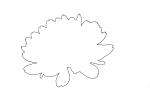 Daisy Outline, line drawing, shape