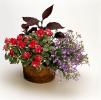 Flower Pot, OFFV18P15_06