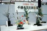 Japanese Flower Arrangements
