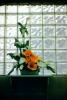 Flower Arrangement, Glass Blocks, Bricks, OFFV20P10_16