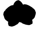 silhouette, logo, shape, OFOV01P07_10M