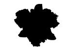 silhouette, logo, shape, OFOV01P11_05M