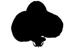 silhouette, logo, shape, OFOV01P13_03M