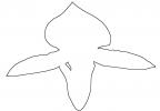 Orchid outline, line drawing, shape, OFOV02P02_01O