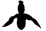 Orchid silhouette, logo, shape, OFOV02P02_16M