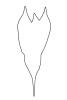Orchid outline, line drawing, shape