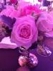 Purple Rose, OFRD01_050052