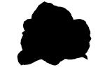 silhouette, logo, shape, OFRV01P09_13.4496M