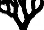 silhouette, logo, shape, OFSV03P03_15M