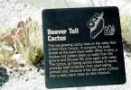 Beaver Tail Cactus, OFSV04P03_08