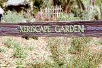 Xeriscape Garden