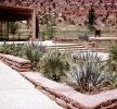 Cactus Garden, Yucca Plants, Monocot, Asparagales, Asparagaceae, Agavoideae, Yucca Plant, OFSV05P10_15