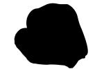 Cala Lilies, silhouette, logo, shape