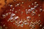 Honey and Bubbles, OLFV02P07_09B