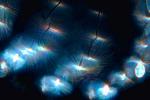 SPIRIT Light, Synapse, Neurons, SPIRIT Light Beings, OLFV04P08_16.1152