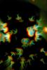 Comma with Chromatic Aberration