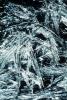 Ice Crystals, OLFV06P12_12