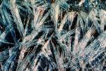 Ice Crystals, OLFV06P12_13.1458