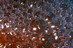 The Accretion of Bubbles, water, Watershapes, OLFV08P03_12.1156