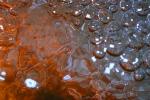The Accretion of Bubbles, water, Watershapes, OLFV08P03_14.1156