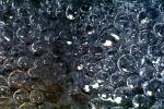 The Accretion of Bubbles, water, Watershapes, OLFV08P04_03