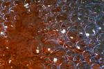 The Accretion of Bubbles, water, Watershapes, OLFV08P04_04.1156