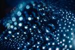 The Accretion of Bubbles, water, Watershapes, OLFV08P11_19.1157