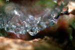 Spider Web, Dew Drop, Watershapes