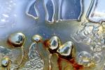 The shape of bubbles under glass in water, Watershapes, OLFV10P11_15