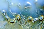 The shape of bubbles under glass in water, Watershapes, OLFV10P11_16