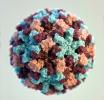 Norovirus Virion, capsid, OUVD01_005