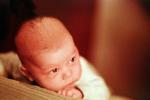 baby, babies, infant, young, child, face, boy, PABV01P03_01