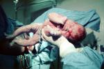 new born baby, Childbirth