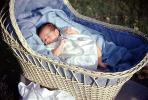 Newborn, Baby, Bassinet, Sleeping, Resting, Wicker, 1960s, PABV03P04_17