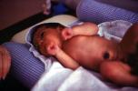 Newborn, Baby, Childbirth, PABV03P07_11