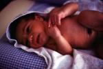 Newborn, Baby, Childbirth, PABV03P07_15