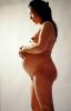 Pregnant Woman, PABV03P08_13
