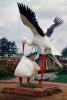 Stork Delivering a Baby, Garden, Park, PABV03P10_05B