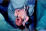 Newborn Baby, Childbirth, PABV03P10_10